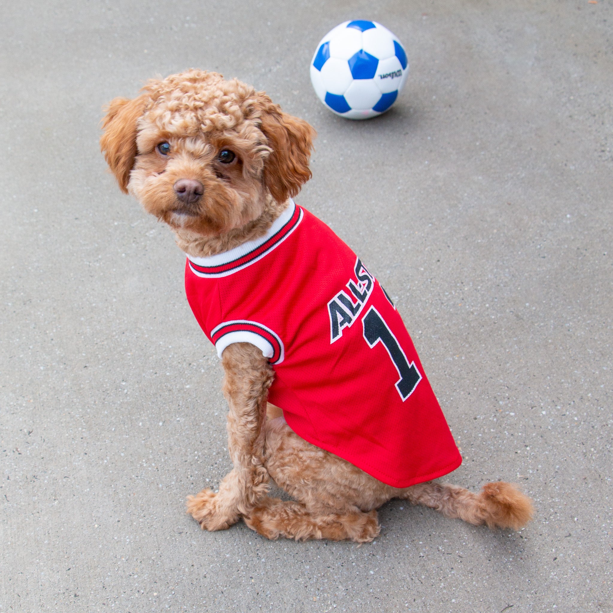 Red Basketball Dog Jersey