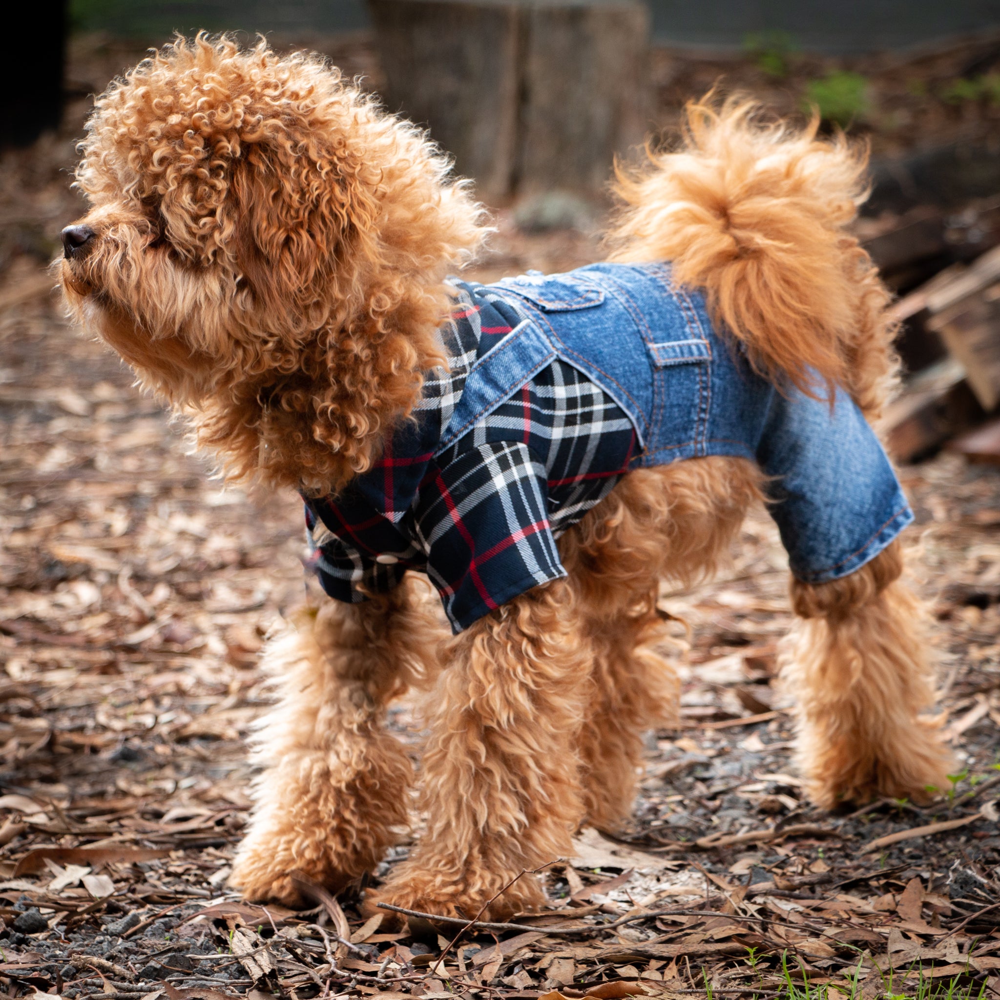 Checkered Dog Jumpsuit