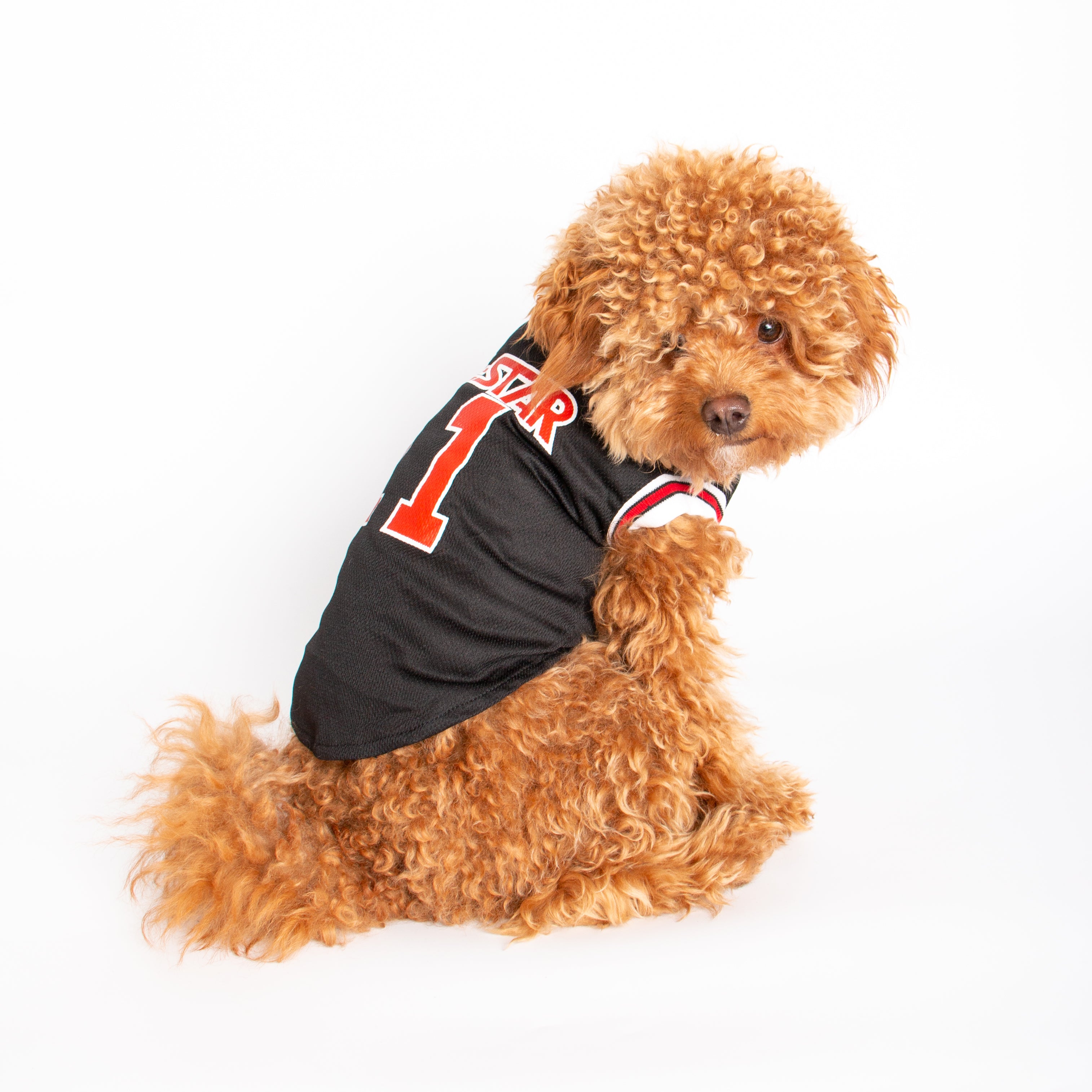 Black Basketball Dog Jersey