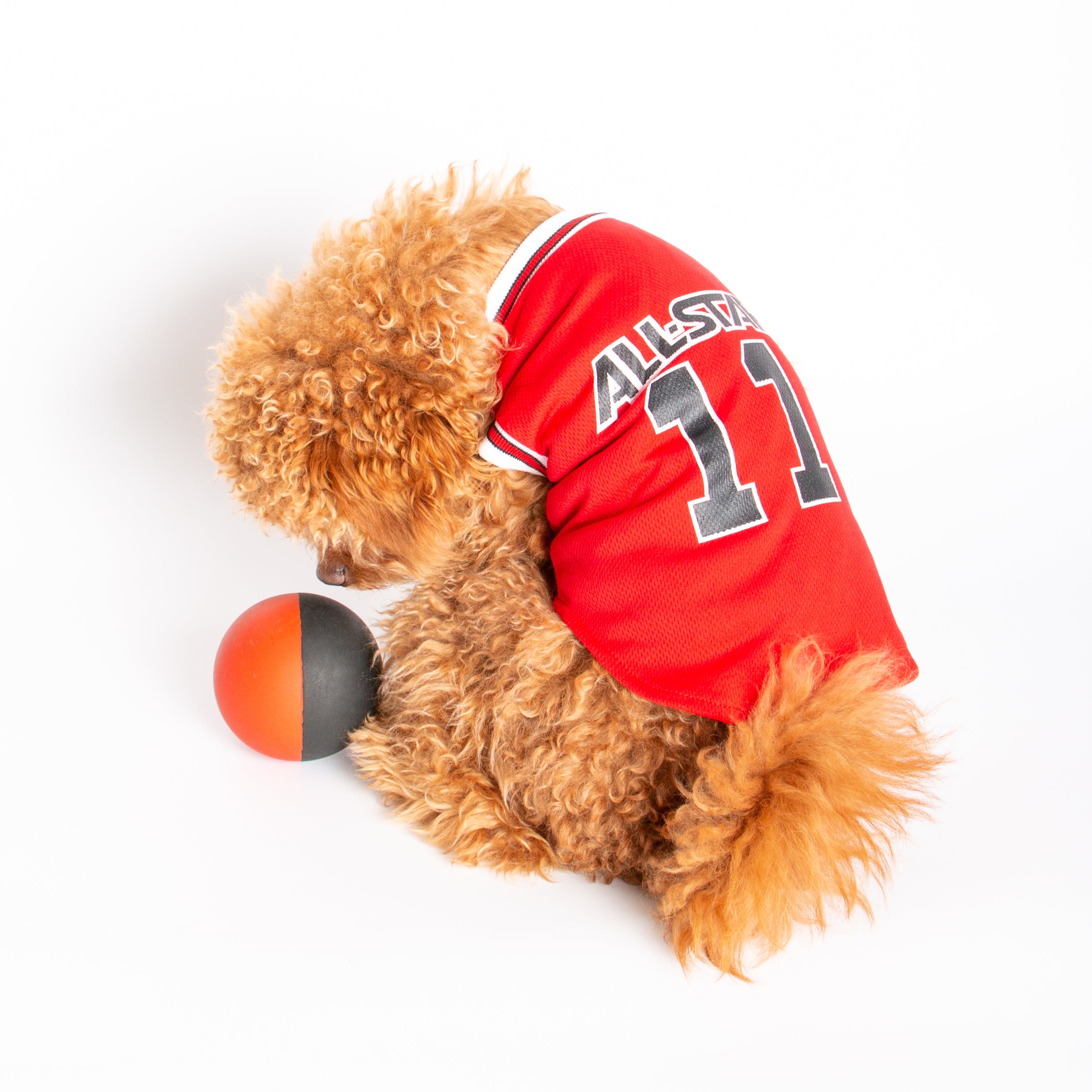 Red Basketball Dog Jersey, Basketball Dog Jersey
