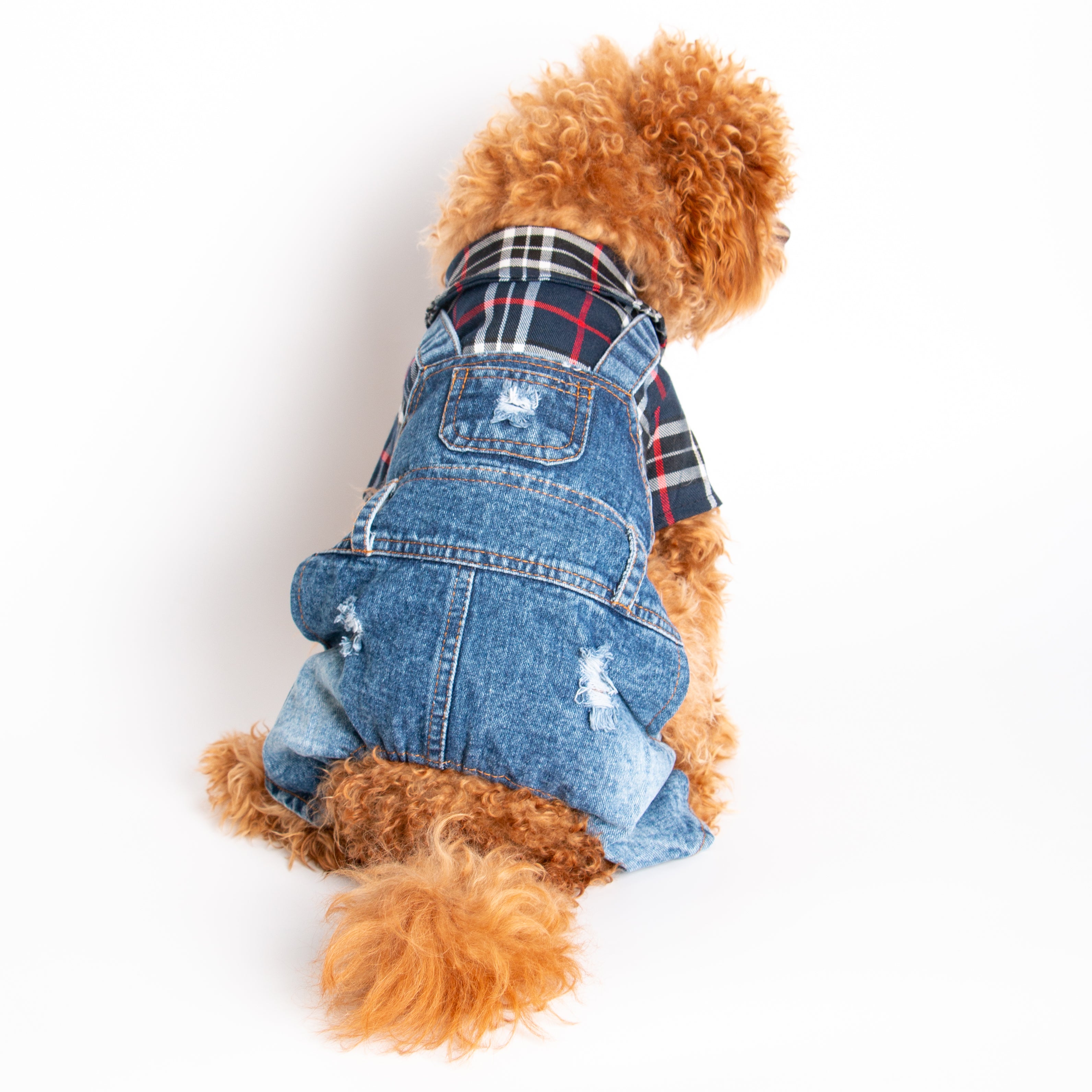 Checkered Dog Jumpsuit