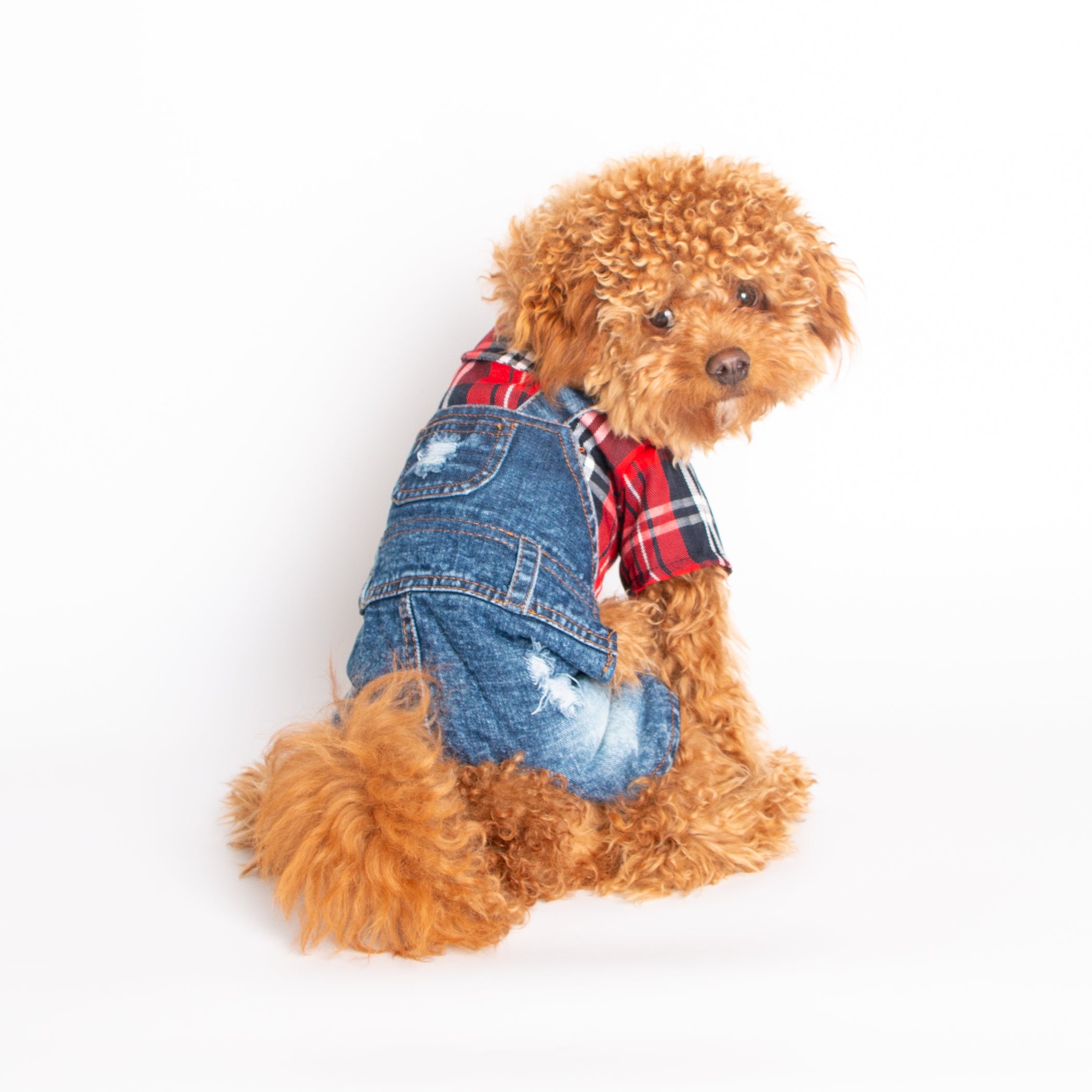 Buster Red Dog Jumpsuit