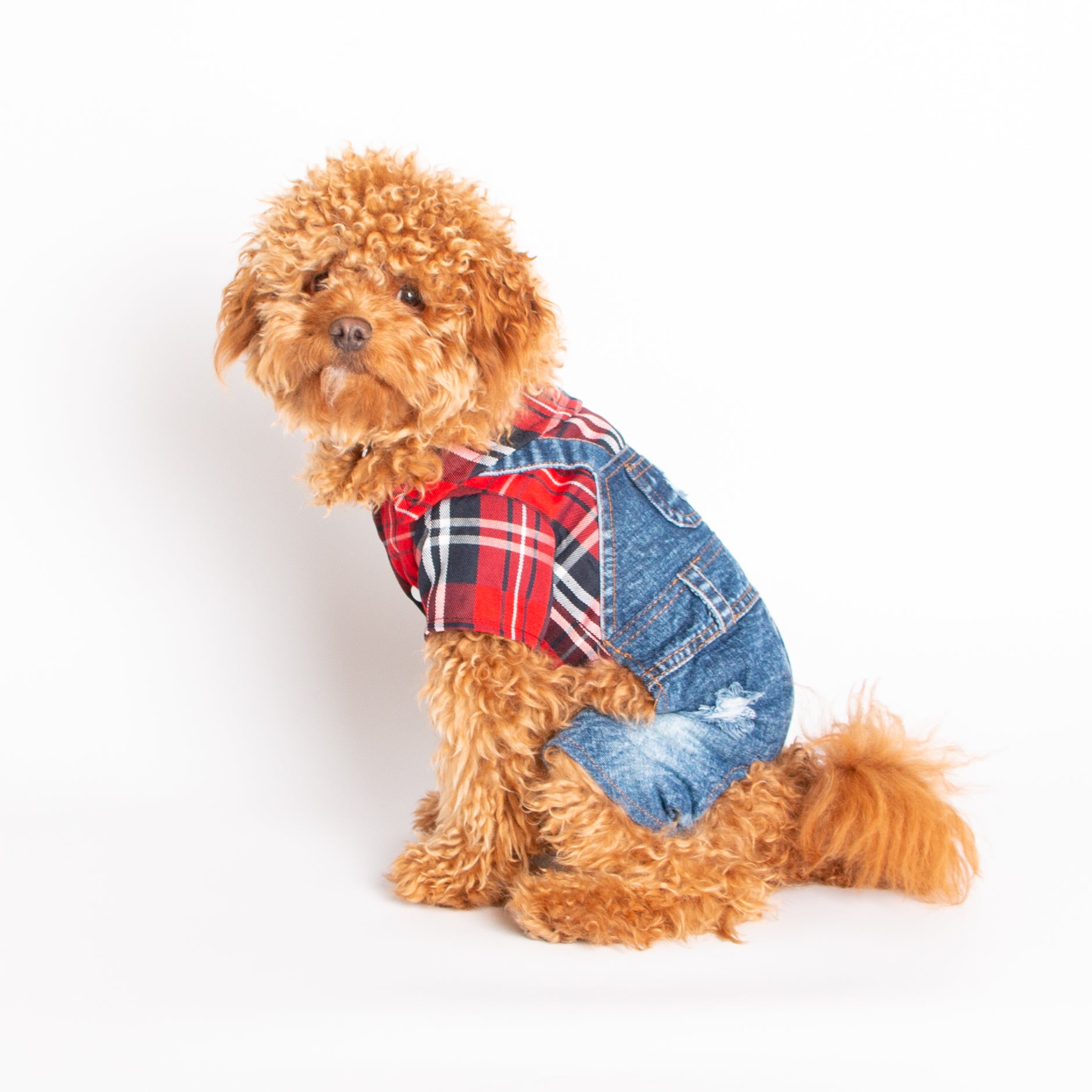 Buster Red Dog Jumpsuit